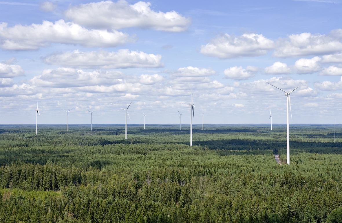 A panoramic view of a forest with tall wind turbines under a partly cloudy sky.