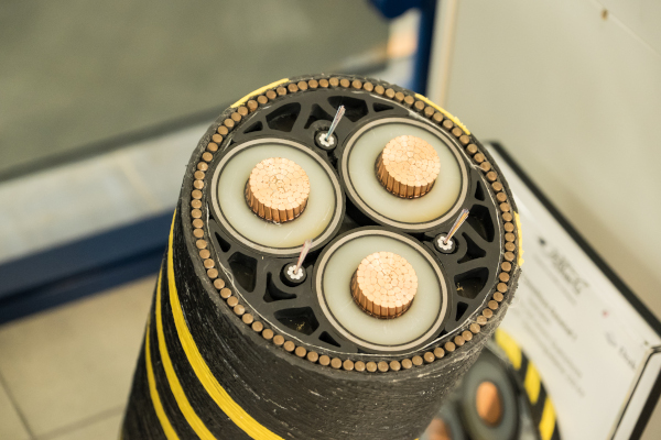 An overhead view of a cylindrical object featuring three copper connectors, encircled by yellow and black stripes.
