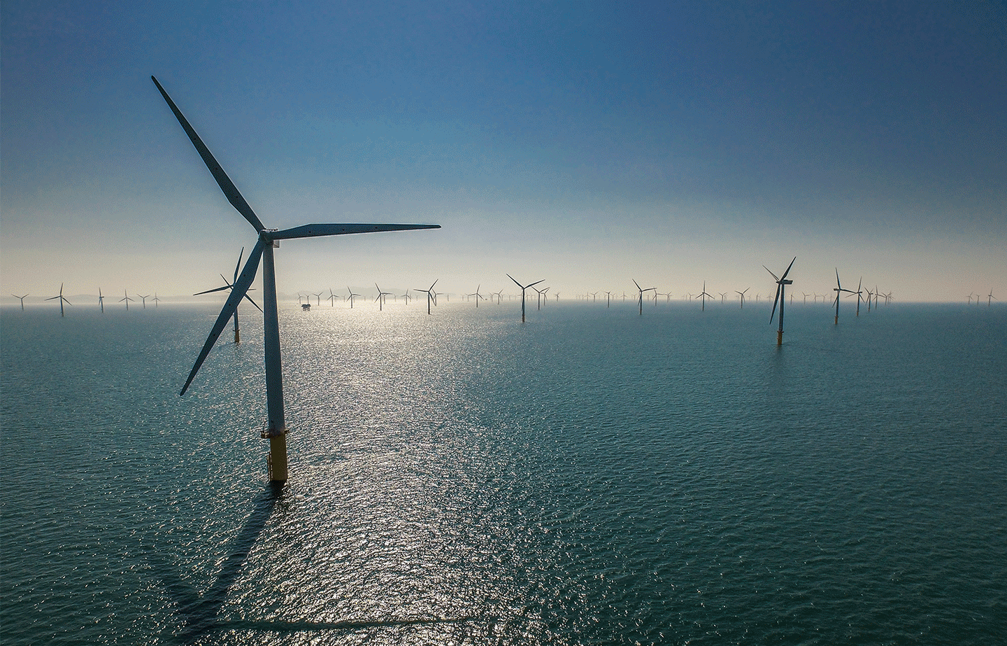 A panoramic view of offshore wind turbines standing tall in the sea, with a clear sky and reflection on the water.